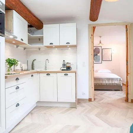 Aubernon Luxurious, Newly Renovated Flat In Heart Of Old * Antibes